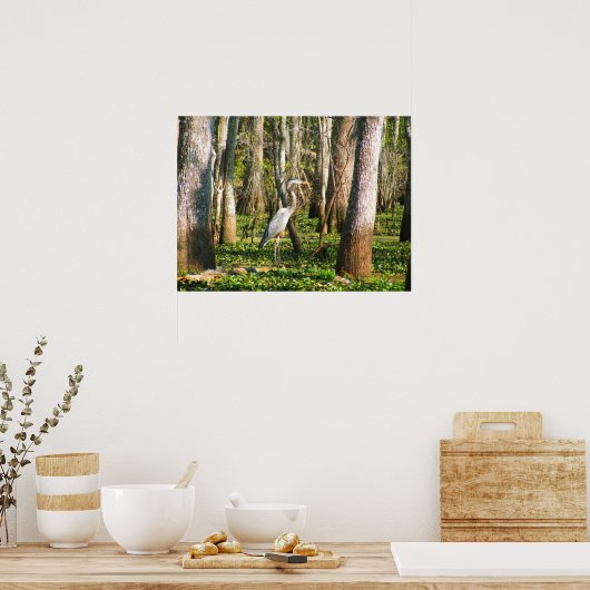 Louisiana Bird in Swamp Poster (Keuken)