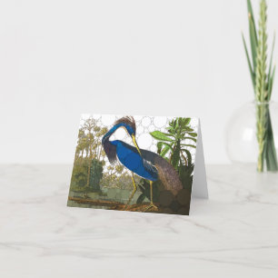 Louisiana Blue Heron van After John James Audubon Bedankkaart