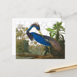 Louisiana Blue Heron van After John James Audubon Briefkaart