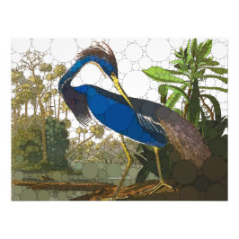 Louisiana Blue Heron van After John James Audubon Foto Afdruk