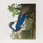 Louisiana Blue Heron van After John James Audubon Legpuzzel (Verticaal)