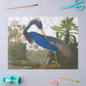 Louisiana Blue Heron van After John James Audubon Tissuepapier (Craft)