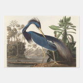 Louisiana Blue Heron van John Jay Audubon Inpakpapier Vel (Voorkant 3)