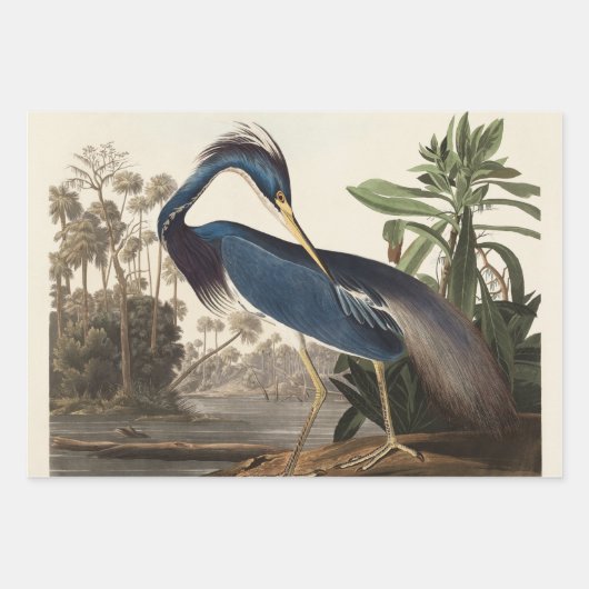 Louisiana Blue Heron van John Jay Audubon Inpakpapier Vel (Voorkant 3)