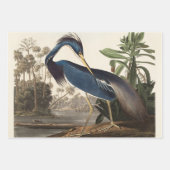 Louisiana Blue Heron van John Jay Audubon Inpakpapier Vel (Voorkant)