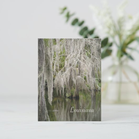 Louisiana Briefkaart (Staand voorkant)