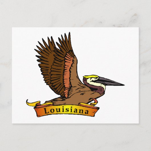 Louisiana Brown Pelican Briefkaart (Voorkant)