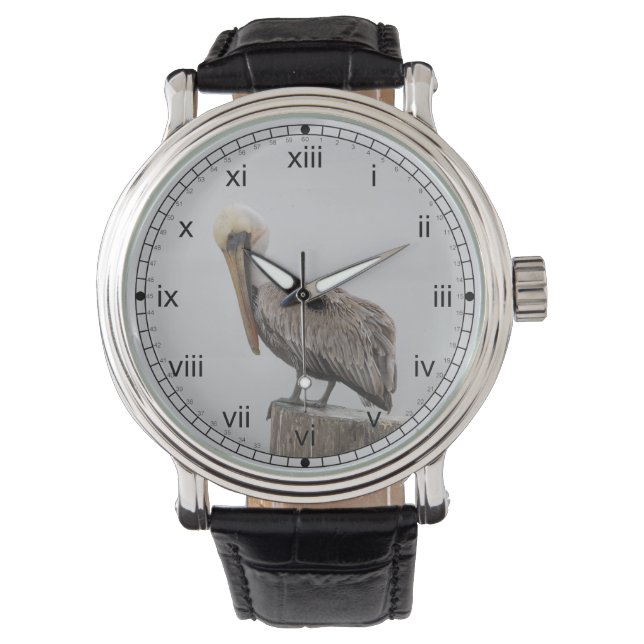 Louisiana Brown Pelican Horloge (Voorkant)