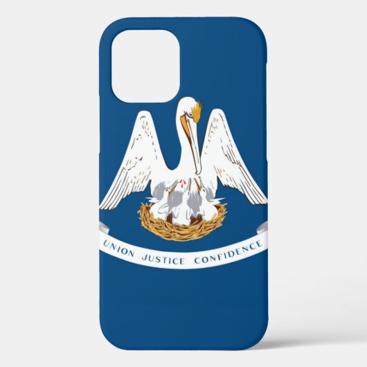 Louisiana Case-Mate iPhone Case (Achterkant)