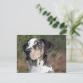 louisiana catahoula leopard briefkaart (Staand voorkant)