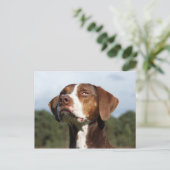 louisiana catahoula leopard briefkaart (Staand voorkant)