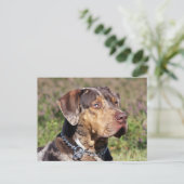 louisiana catahoula leopard briefkaart (Staand voorkant)