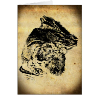 Louisiana Catahoula Leopard Dog Old Time