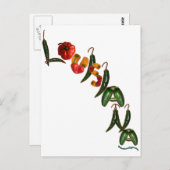 Louisiana Chili Peppers Briefkaart (Voorkant / Achterkant)