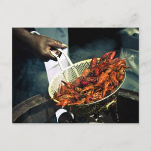 Louisiana Crawfish Briefkaart