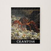 Louisiana Crawfish Legpuzzel (Verticaal)