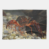 Louisiana Crawfish Theedoek (Horizontaal)