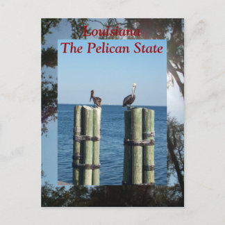Louisiana de staat Pelican Briefkaart