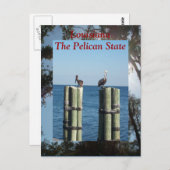 Louisiana de staat Pelican Briefkaart (Voorkant / Achterkant)