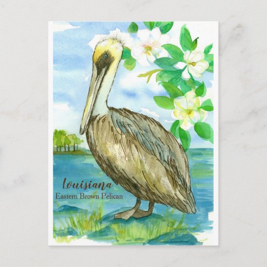 Louisiana Eastern Brown Pelican State Bird Briefkaart (Voorkant)