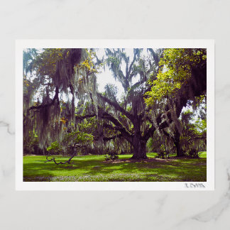 Louisiana Eik Postkaart Folie Feestdagen Briefkaart