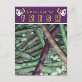 Louisiana Fresh Paarse romp erwten reizen Briefkaart