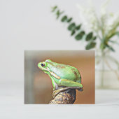 Louisiana Green Tree Frog Briefkaart (Staand voorkant)