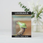 Louisiana Green Tree Frog Briefkaart (Staand voorkant)