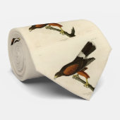 Louisiana (Harris's) Hawk Audubon Birds of America Stropdas (Opgerold)