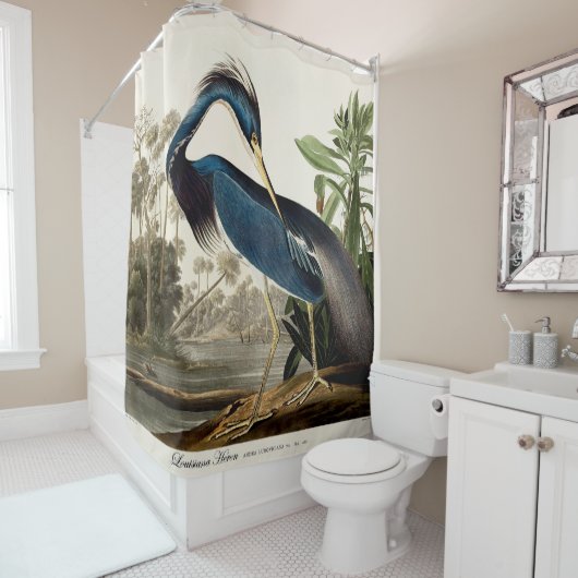 Louisiana Heron, 1834, Uit de vogels van Amerika Douchegordijn (In situ)
