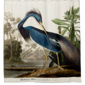 Louisiana Heron, 1834, Uit de vogels van Amerika Douchegordijn (Voorkant)
