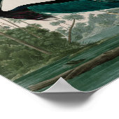 Louisiana Heron Birds of America Audubon Print (Hoek)