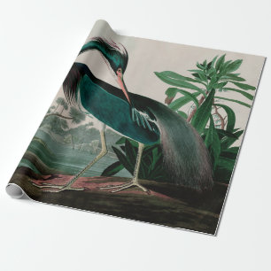 Louisiana Heron Birds of America Audubon Print Cadeaupapier
