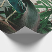 Louisiana Heron Birds of America Audubon Print Cadeaupapier (Hoek)