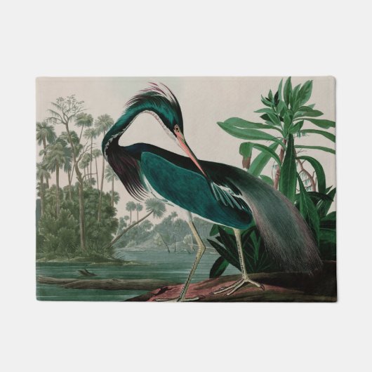 Louisiana Heron Birds of America Audubon Print Deurmat (Voorkant)