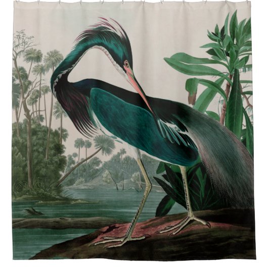 Louisiana Heron Birds of America Audubon Print Douchegordijn (Voorkant)