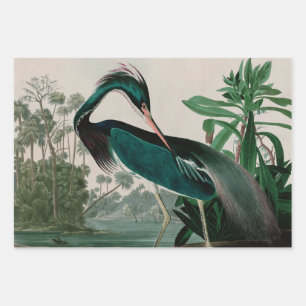 Louisiana Heron Birds of America Audubon Print Inpakpapier Vel