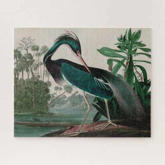 Louisiana Heron Birds of America Audubon Print Legpuzzel (Horizontaal)