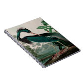 Louisiana Heron Birds of America Audubon Print Notitieboek (Rechterzijde)