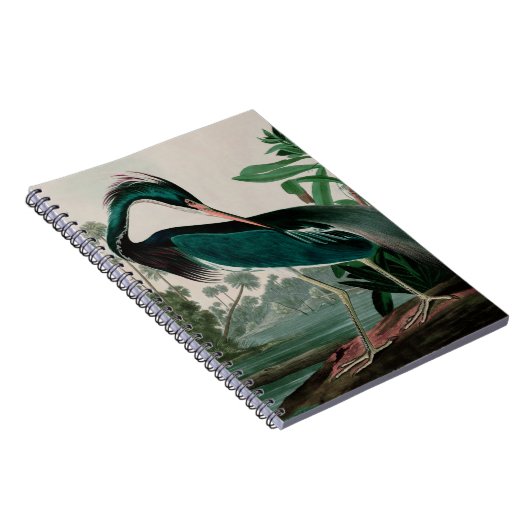 Louisiana Heron Birds of America Audubon Print Notitieboek (Rechterzijde)