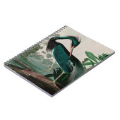Louisiana Heron Birds of America Audubon Print Notitieboek (Linkerzijde)