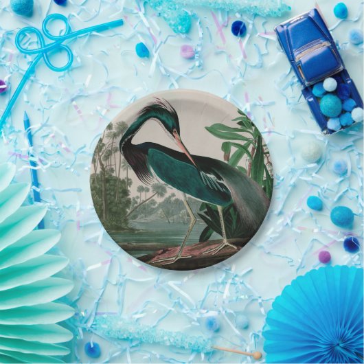 Louisiana Heron Birds of America Audubon Print Papieren Bordje (Feest)