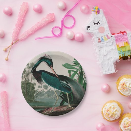 Louisiana Heron Birds of America Audubon Print Papieren Bordje (Feest)