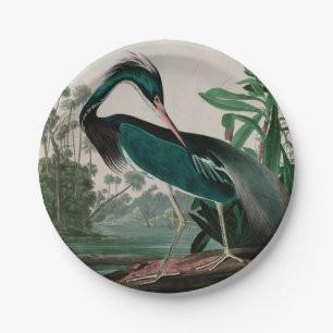 Louisiana Heron Birds of America Audubon Print Papieren Bordje