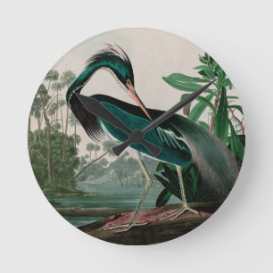 Louisiana Heron Birds of America Audubon Print Ronde Klok