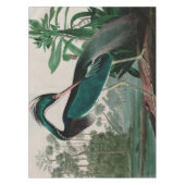 Louisiana Heron Birds of America Audubon Print Tafelkleed (Voorkant)