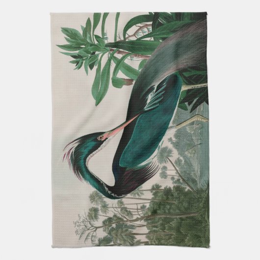 Louisiana Heron Birds of America Audubon Print Theedoek (Verticaal)