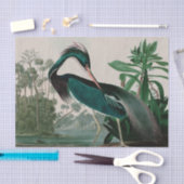 Louisiana Heron Birds of America Audubon Print Tissuepapier (Craft)