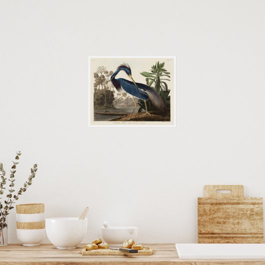 Louisiana Heron door het Poster van Audubon (Keuken)