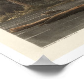 Louisiana Heron door het Poster van Audubon (Hoek)